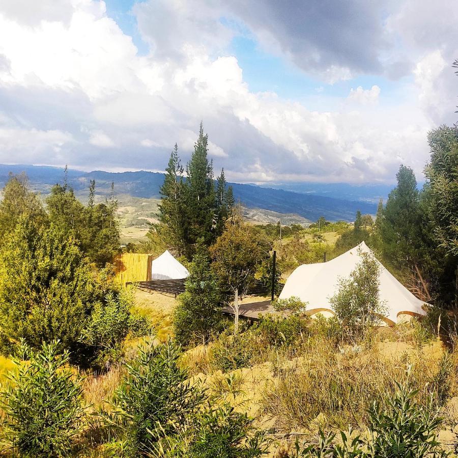 Glampwild Zaquencipa