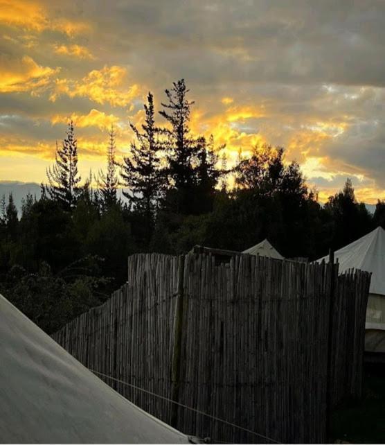Glampwild Zaquencipa